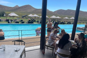 SAFARI – Kapkaupunki Aquila Big 5 & lounas (sisältää hotellinoudon)