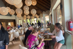 SAFARI – Kapkaupunki Aquila Big 5 & lounas (sisältää hotellinoudon)