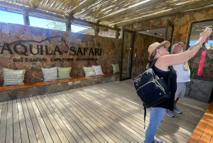 SAFARI – Kapkaupunki Aquila Big 5 & lounas (sisältää hotellinoudon)