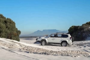 Sand Dune Safaris
