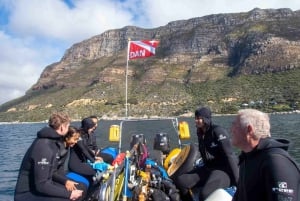 Plongée sous-marine au Cap : 2 plongées pour les plongeurs certifiés