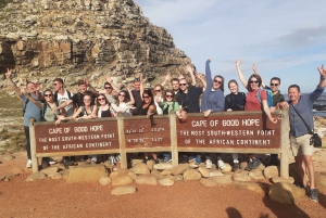 Seal Island, Cape of Good Hope &penguins Full day group Tour