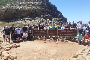 Kaapstad: Kaap de Goede Hoop, zeehonden en pinguïns dagtour