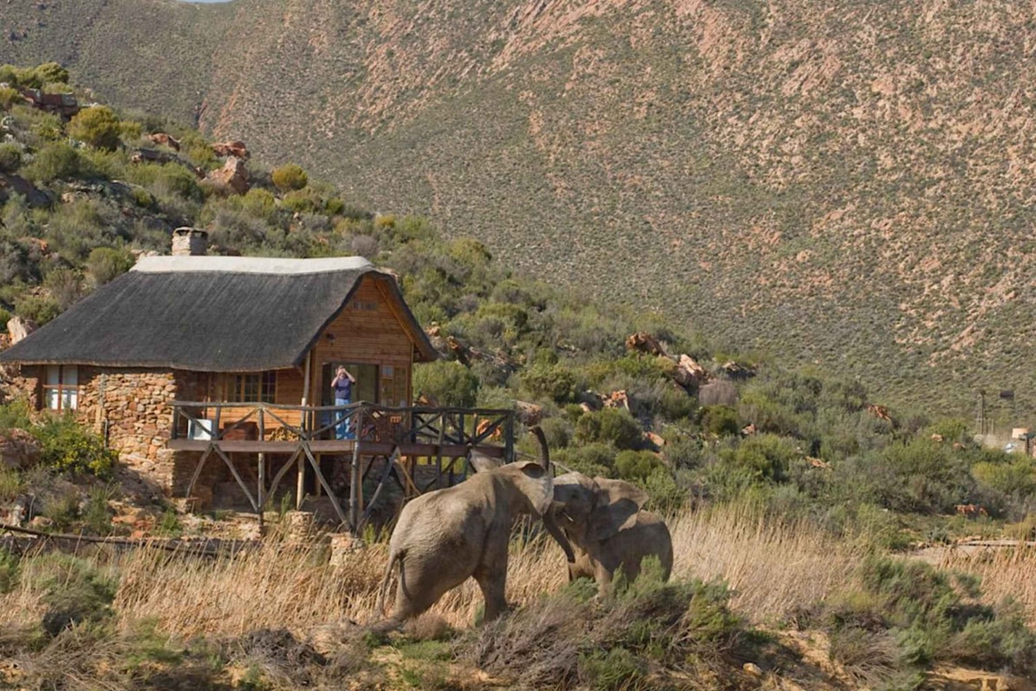 Selbstfahrer Aquila Safari Game Reserve Sunset Game Drive