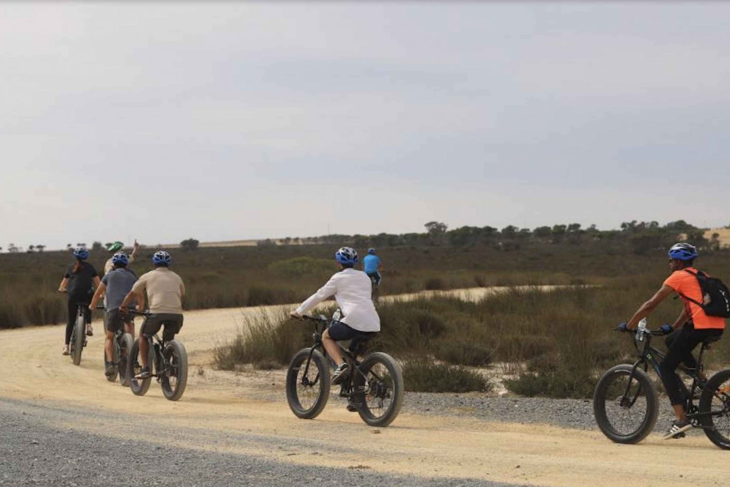 Cape Town: Self Drive E-Bike Safari Tour