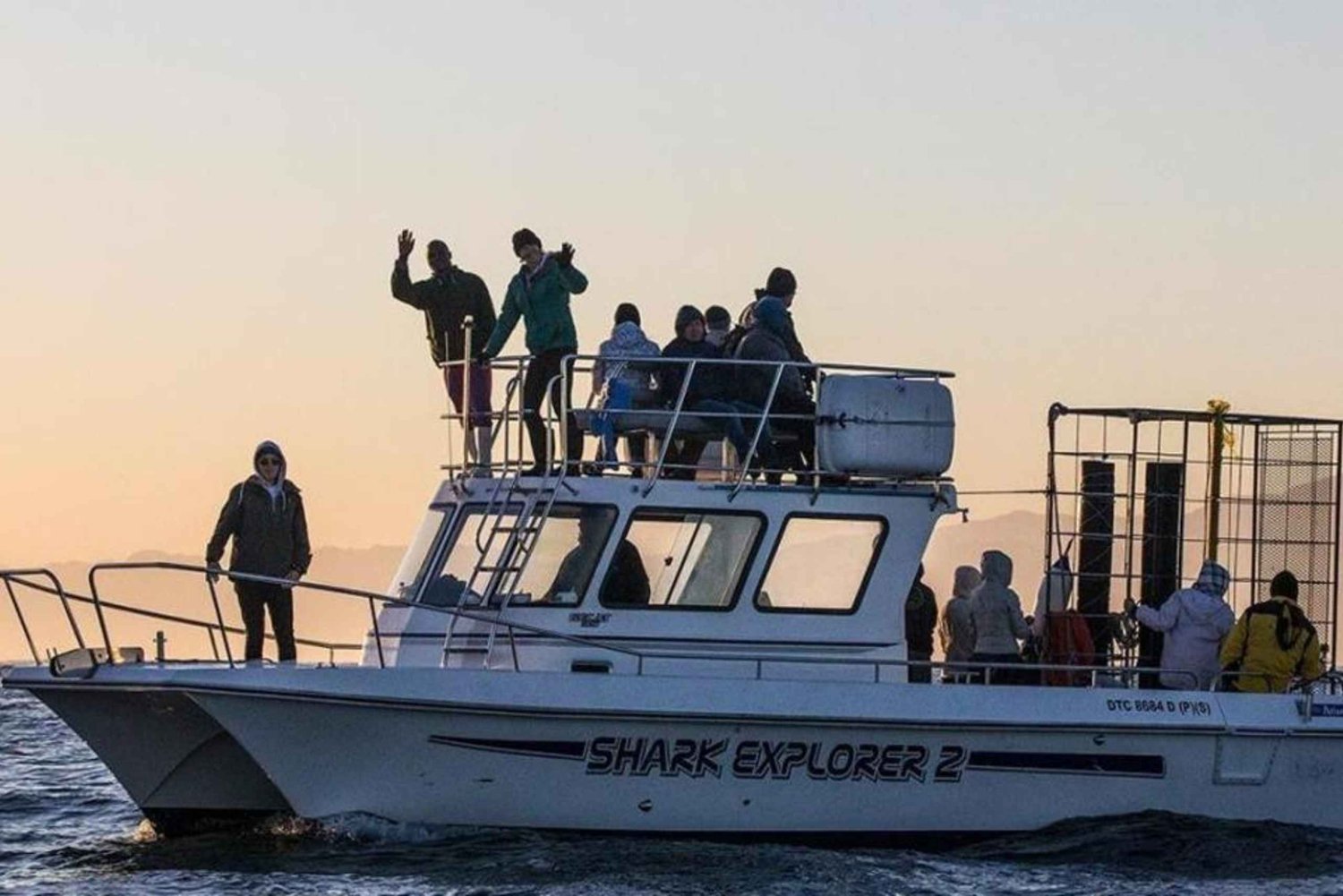 Simon's Town: Half Day Shark Cage Diving Experience