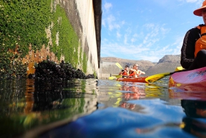 Simon's Town: Kajak-eventyr