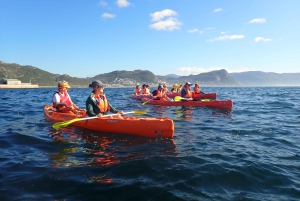 Simon's Town: Kajak-eventyr