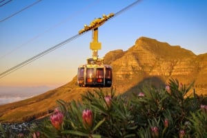 Voorrangsticket kabelbaan op de Tafelberg vanuit Kaapstad