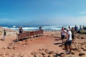 Small Group tour; Cape of Good Hope & Penguins
