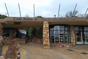 Small Group tour; Cape of Good Hope & Penguins