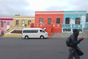 Small Group tour; Cape of Good Hope & Penguins