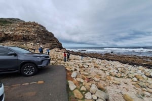 Small Group tour; Cape of Good Hope & Penguins