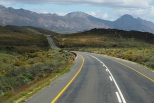 Sudafrica: App di audioguida per la Garden Route e il Western Cape