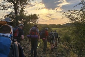 南アフリカ、ツァニーン：冒険的なギャップイヤー プログラム