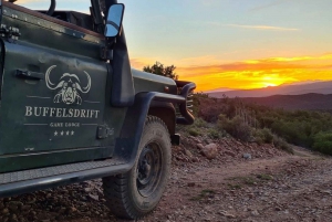 From Cape Town: South African Wildlife Safari 2-Day Tour