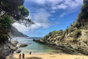 South Africa's Garden Route: 4-Day Adventure Tour