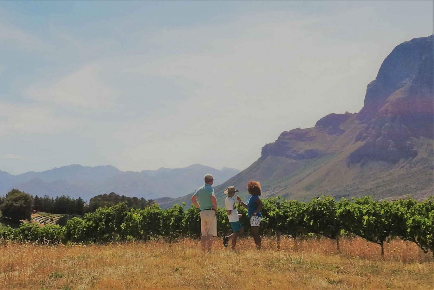 Stellenbosch: 4x4 Winelands Private Experience