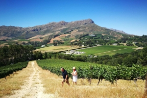Stellenbosch: 4x4 Wijnland Privé Belevenis