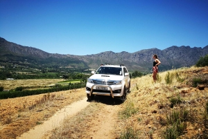 Stellenbosch: 4x4 Wijnland Privé Belevenis