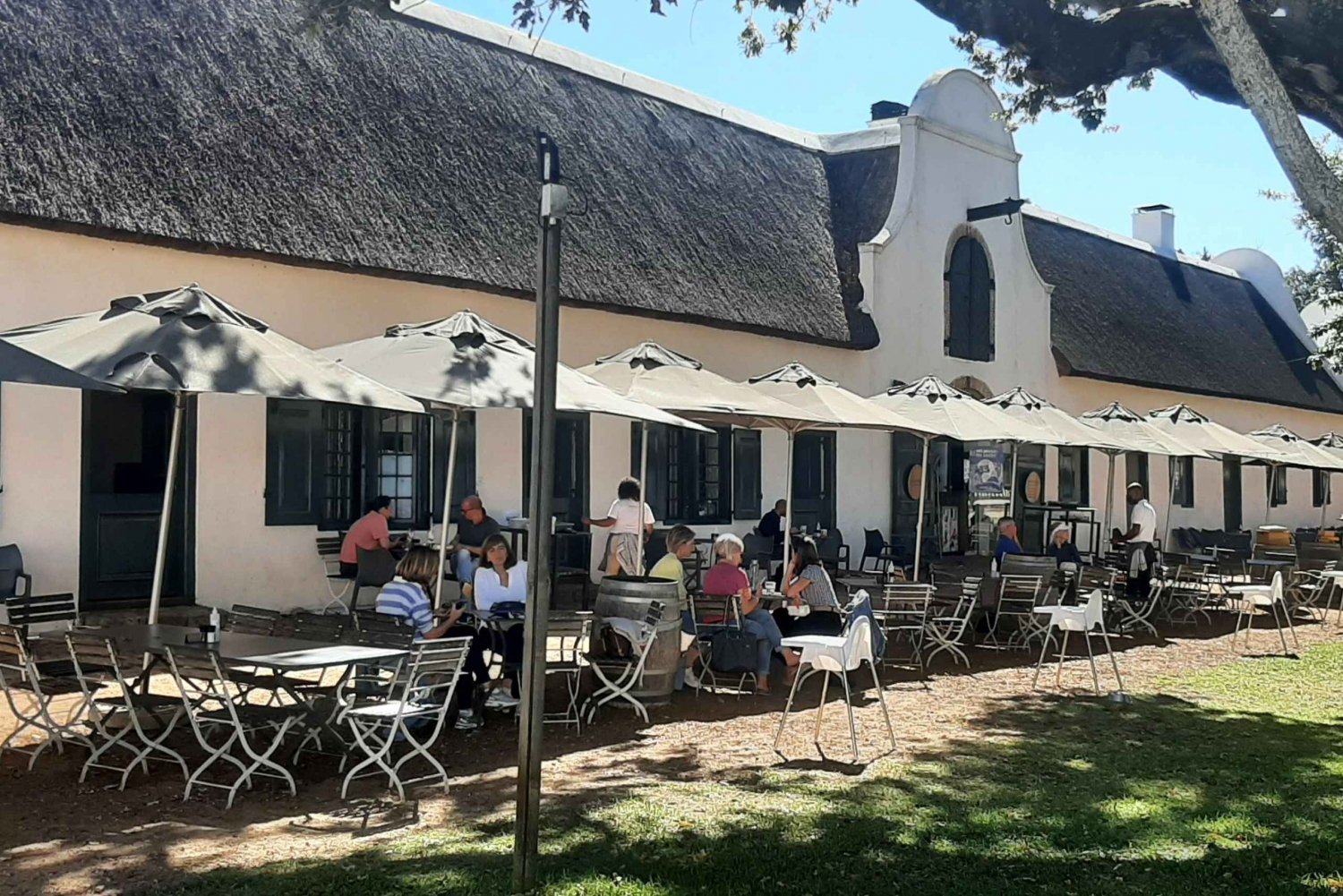 Tafelberg en Stellenbosch wijnproeverij tour