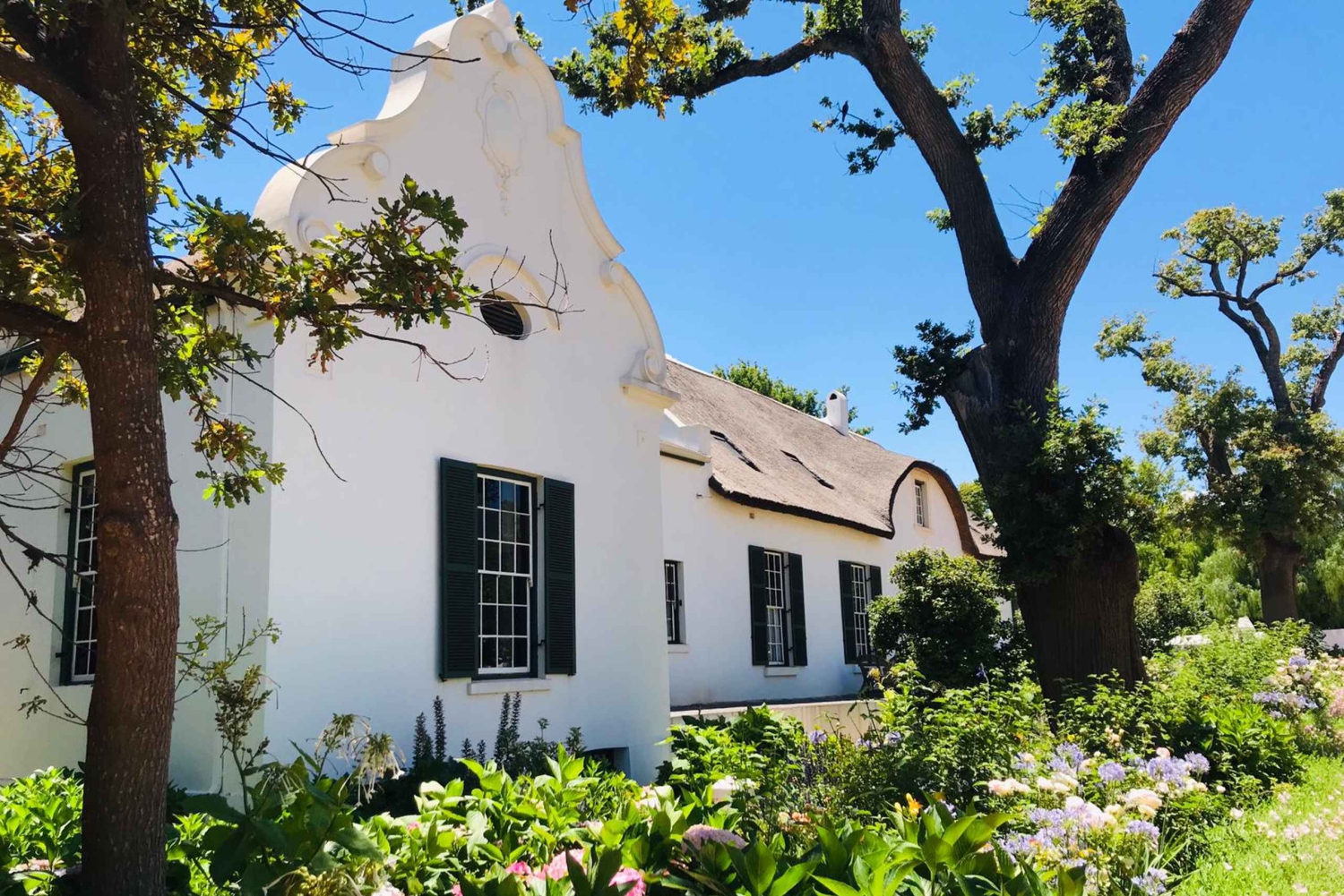 Stellenbosch: Best of the Winelands Private Tour & Tastings