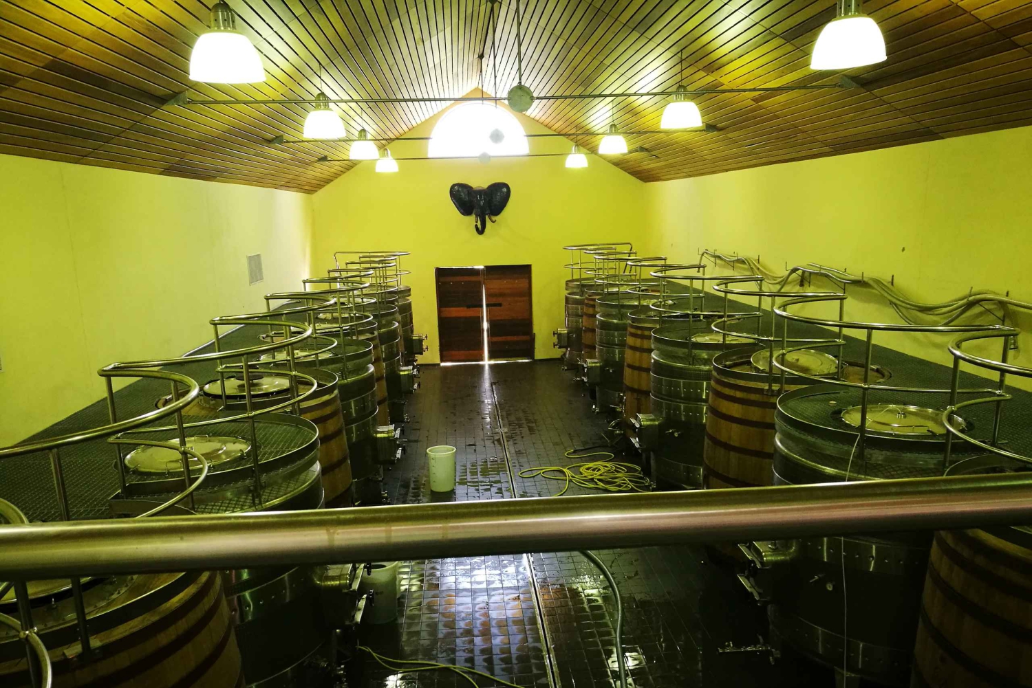 Stellenbosch: Best of the Winelands Private Tour & Tastings