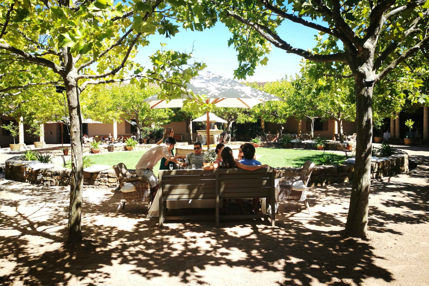 Stellenbosch: Best of the Winelands Private Tour & Tastings