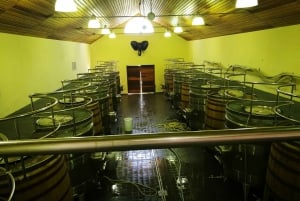 Stellenbosch : Best of Winelands Private Tour & Tastings (en anglais)