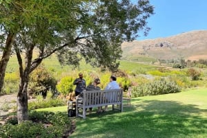 Stellenbosch : Best of Winelands Private Tour & Tastings (en anglais)
