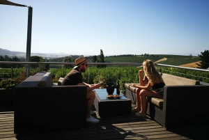 Stellenbosch: Best of the Winelands Private Tour & Tastings