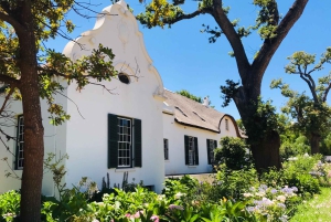 Stellenbosch: Best of the Winelands Private Tour & Tastings