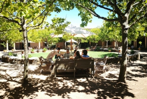Stellenbosch: Best of the Winelands Private Tour & Tastings