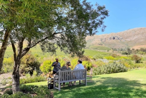 Stellenbosch: Best of the Winelands Private Tour & Tastings