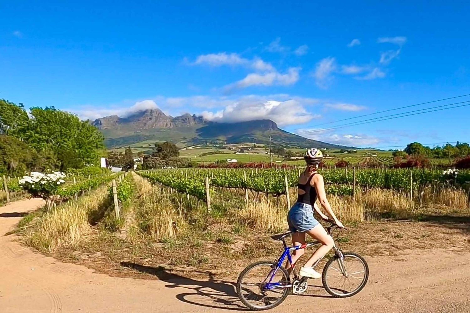 Stellenbosch: Biking & Wine Tasting -Cape Town Transport Opt