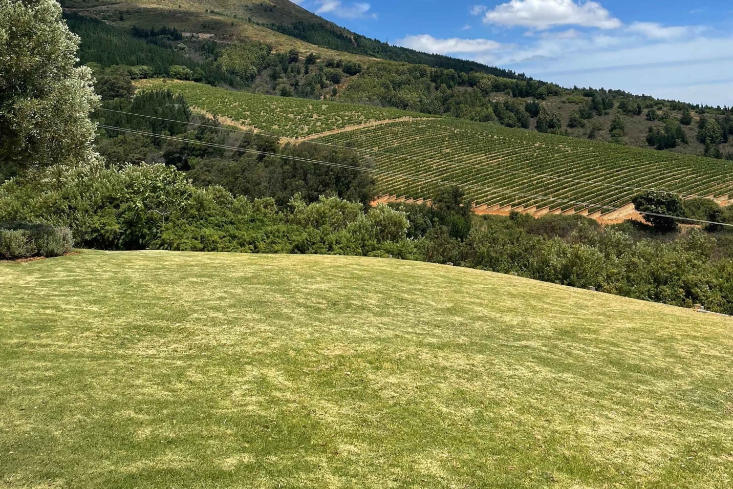 Стелленбос: велотур и дегустация вина (трансфер из Кейптауна)