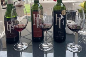 Stellenbosch: Biking & Wine Tasting -Cape Town Transport Opt