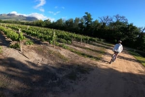 Stellenbosch: Biking & Wine Tasting -Cape Town Transport Opt