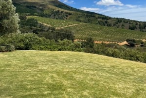 Stellenbosch: Biking & Wine Tasting -Cape Town Transport Opt