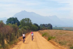 Stellenbosch: Devon Valley Vineyards Fahrradtour mit Mittagessen