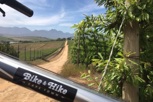 Stellenbosch: Devon Valley Vineyards Fahrradtour mit Mittagessen