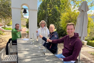 Stellenbosch: Devon Valley Vineyards Fahrradtour mit Mittagessen