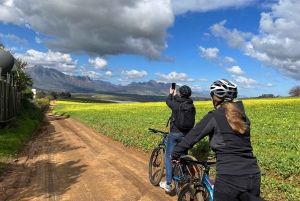 Stellenbosch: Devon Valley Vineyards Fahrradtour mit Mittagessen