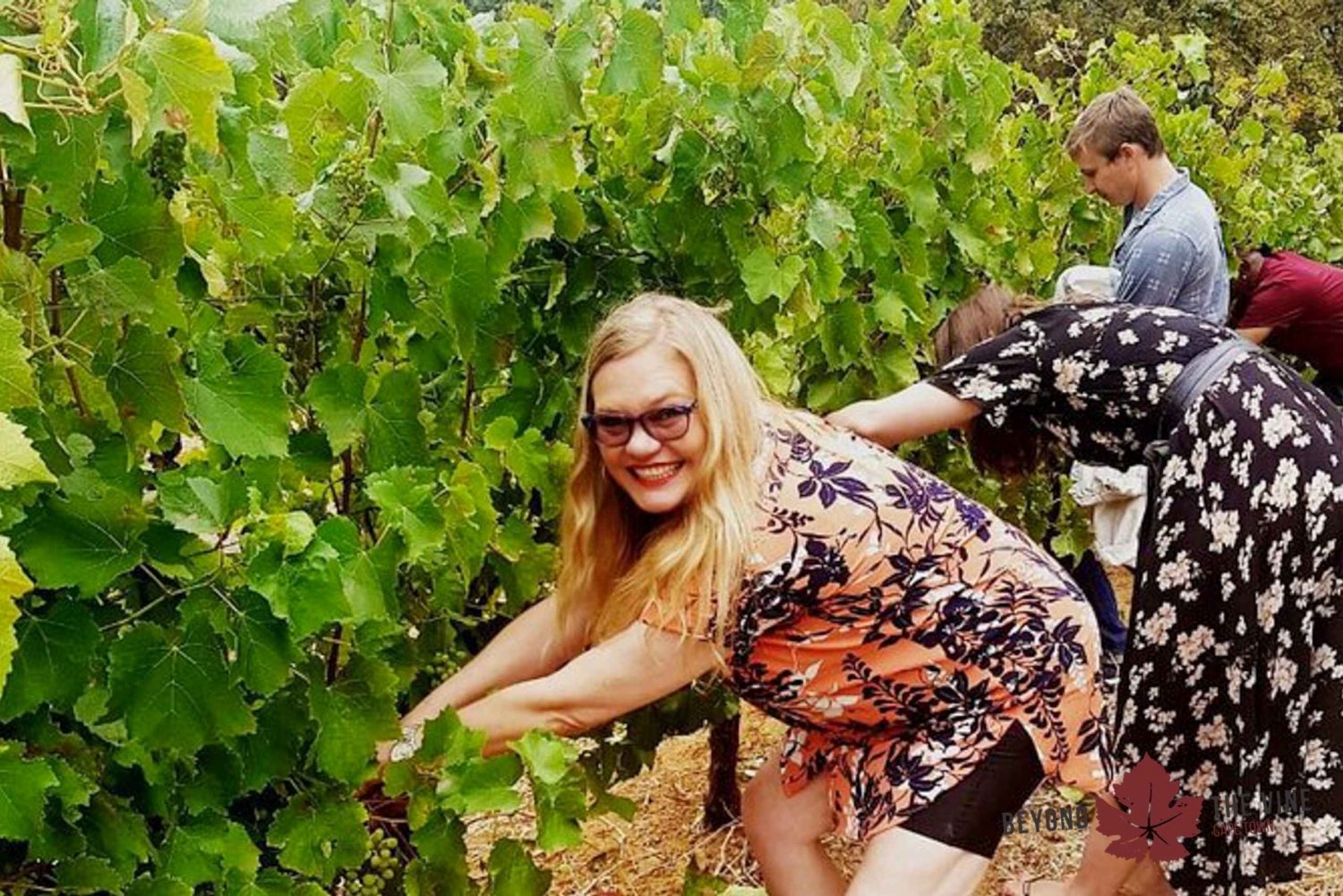 Stellenbosch: Exclusieve wijntour - Blend & bottel je eigen wijn