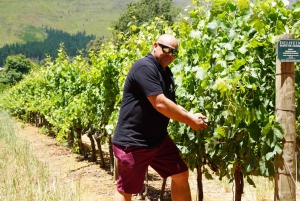 Stellenbosch: Ruta exclusiva del vino - Mezcla y embotella tu propio vino