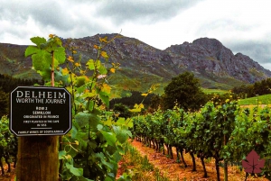Stellenbosch: Eksklusiv vintur - Bland og tapp egen vin på flaske