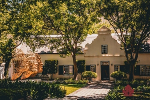 Stellenbosch: Exklusiv vinresa - Blanda och buteljera eget vin