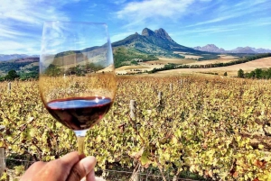 Stellenbosch: Exklusive Weintour - Eigenen Wein mischen und abfüllen