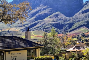 Cape Town: Stellenbosch, Franschhoek and Paarl Wine Day Trip