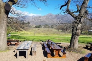 Cape Town: Stellenbosch, Franschhoek and Paarl Wine Day Trip